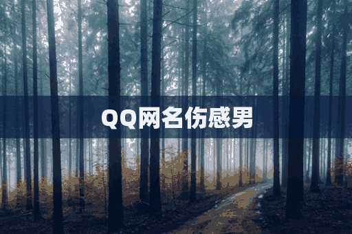 QQ网名伤感男(qq网名伤感男生分手了)